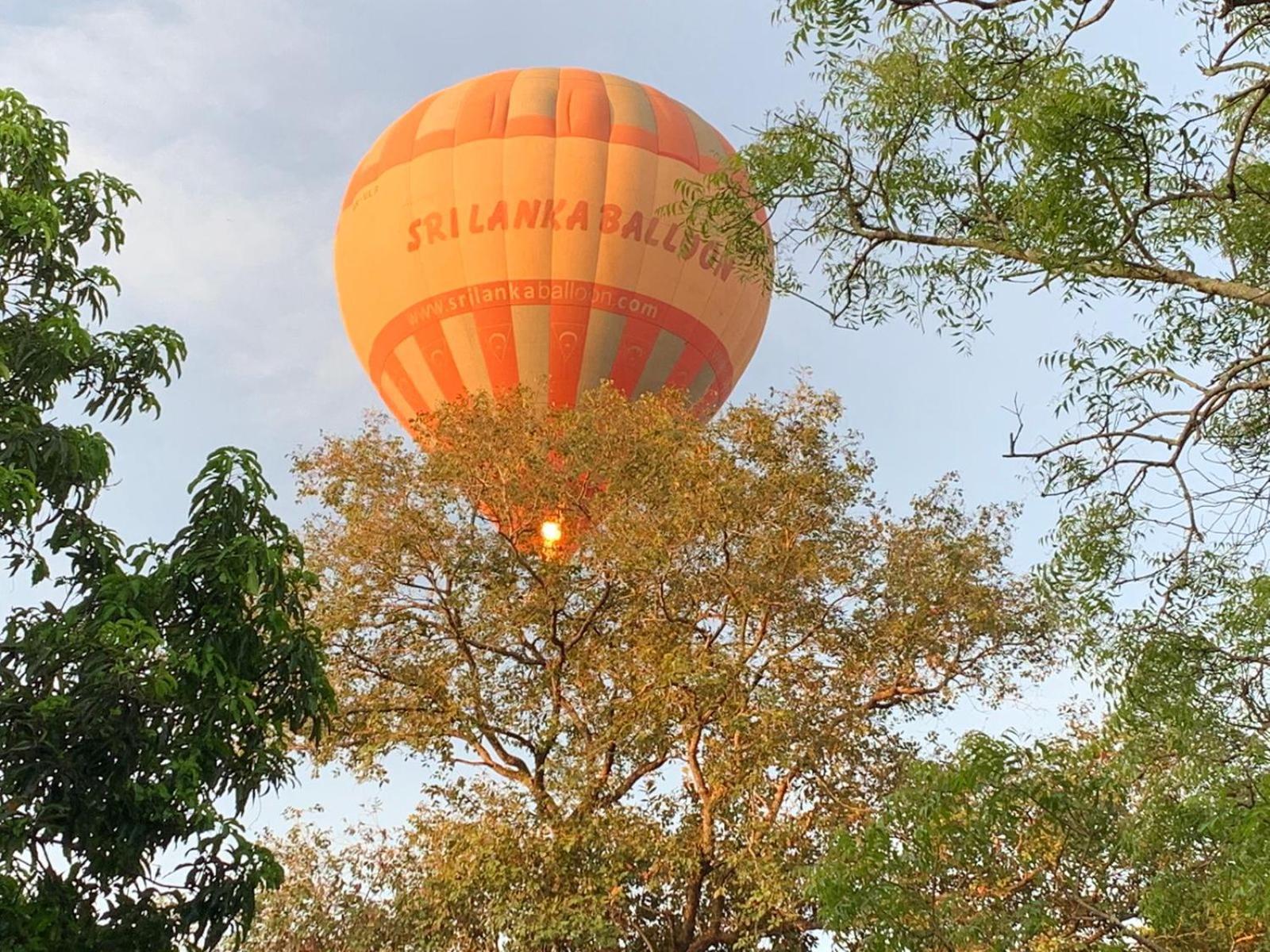 Eden Grand Hotel Dambulla Buitenkant foto